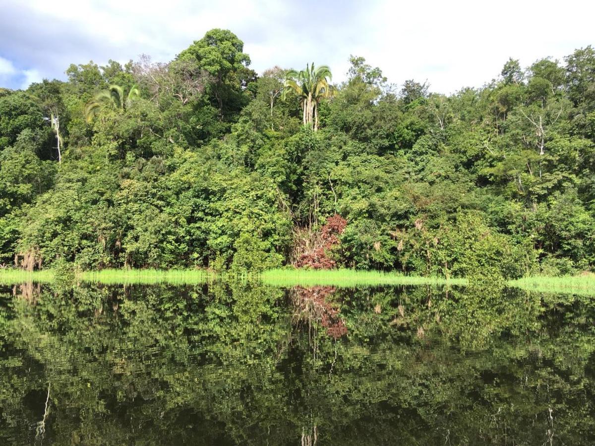 Amazon Arowana Lodge Careiro Εξωτερικό φωτογραφία
