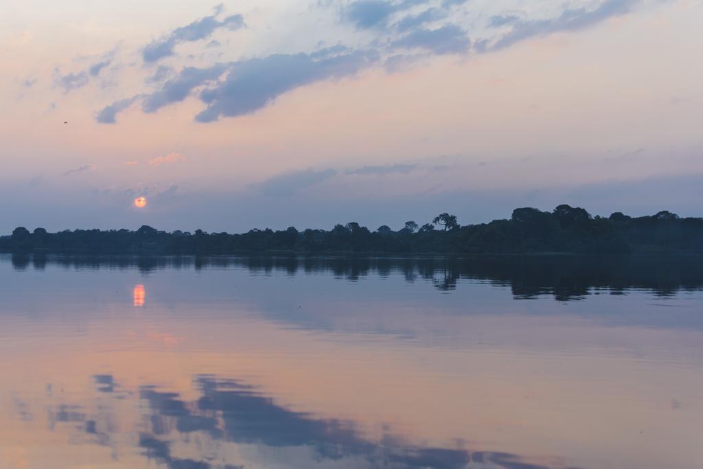 Amazon Arowana Lodge Careiro Εξωτερικό φωτογραφία