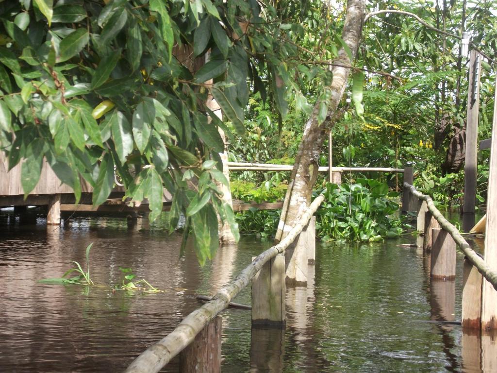 Amazon Arowana Lodge Careiro Εξωτερικό φωτογραφία